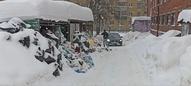Фото: Любовь Овчинникова