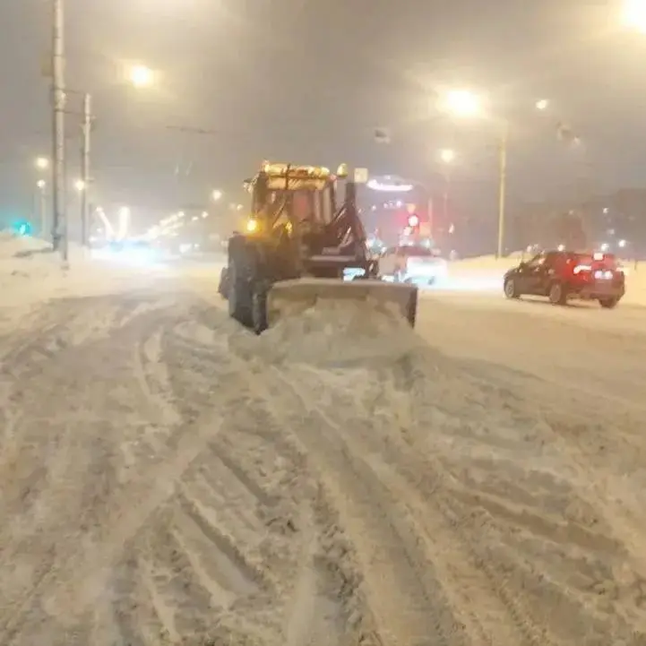 «Букет подснежников»