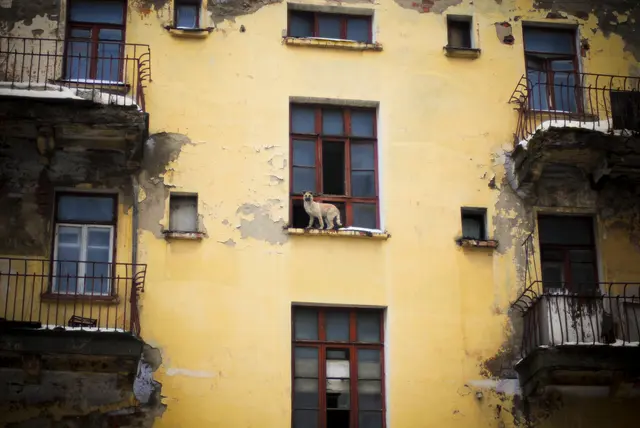 Фото: freepik.com, автор: nikitabuida