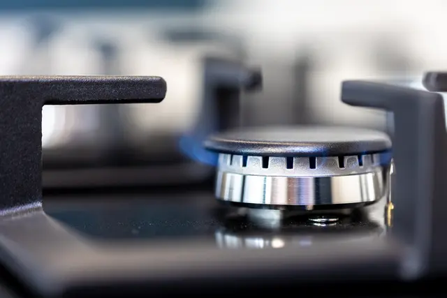 Фото: freepik.com, автор: pvproductions