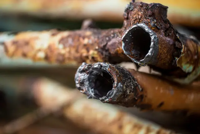 Фото: freepik.com, автор: pvproductions