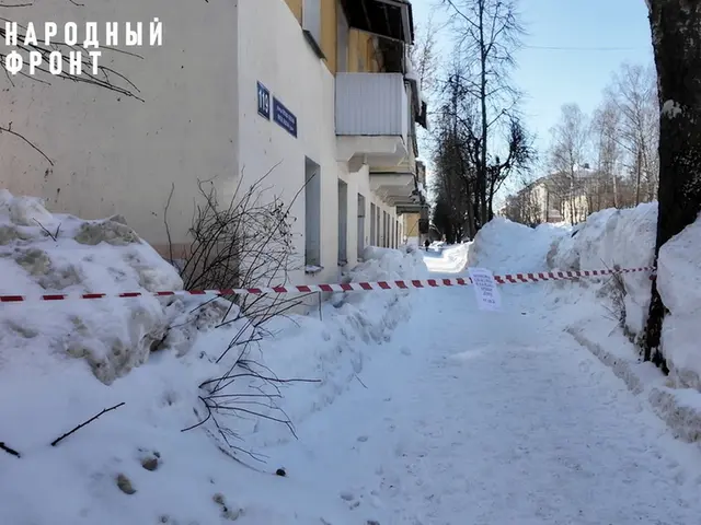 Фото: Народный фронт в РМЭ