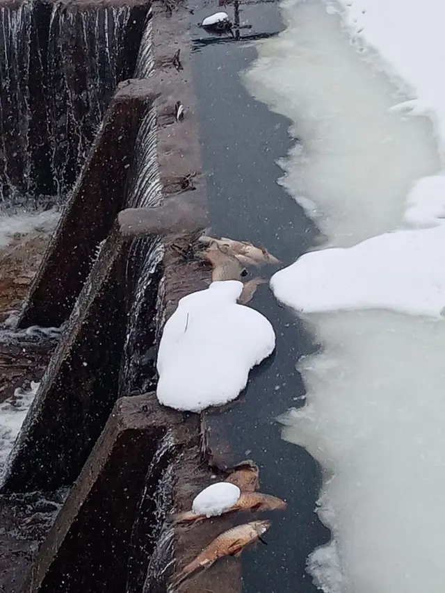 Фото: vk.com/vestnikraiona