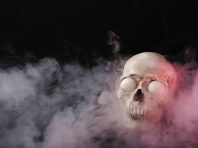 Фото: freepik.com, автор: freepik