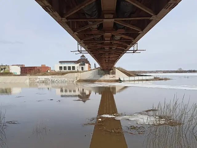 Фото: Управление ГО и ЧС Йошкар-Олы