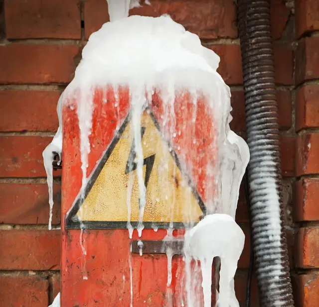 Фото: freepik.com, автор: bearfotos