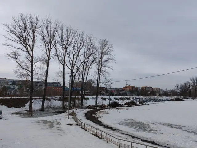 Фото: Алексей Гатилов 