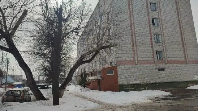 Не потоп, так пожар 