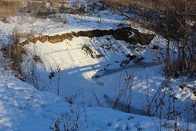 Фото: https://commons.wikimedia.org/ Слкожин