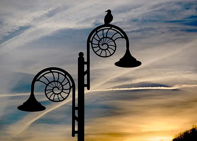 Фото: https://commons.wikimedia.org/ MichaelMaggs