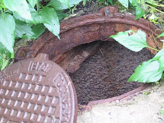 В открытый люк