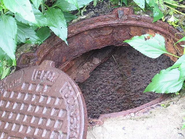 Фото: https://commons.wikimedia.org/ dubrovka.911