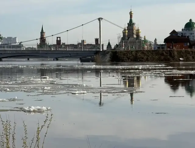 Фото со страницы соцсети ВКонтакте администрации Йошкар-Олы