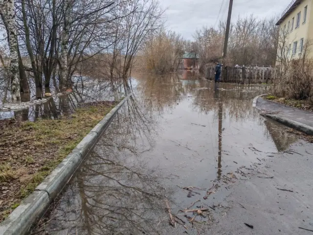 Фото: Алексей Гатилов 