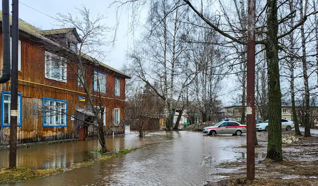 Фото со страницы соцсети ВКонтакте мэрии Йошкар-Олы