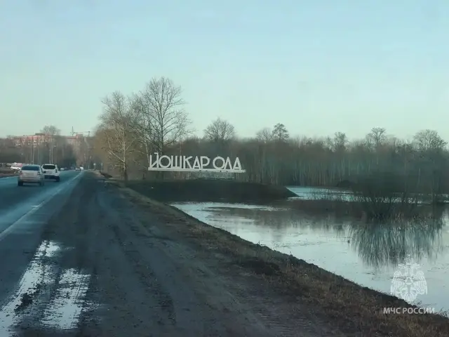 Фото ГУ МЧС России по Марий Эл