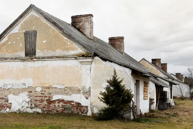 Фото: freepik.com, автор: freepik