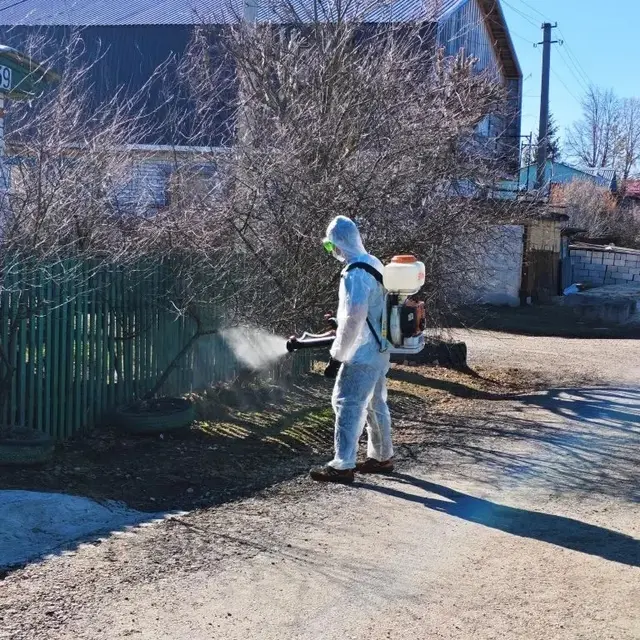 Фото из группы администрации Йошкар-Олы в соцсети «ВКонтакте»