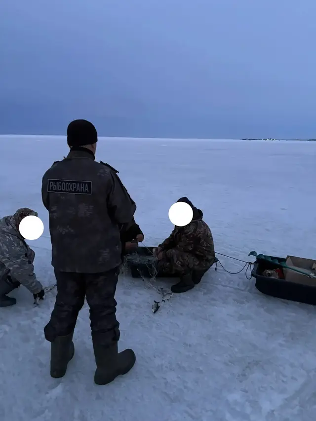 Фото из группы Волго-Камского ТУ Росрыболовства в соцсети «ВКонтакте»