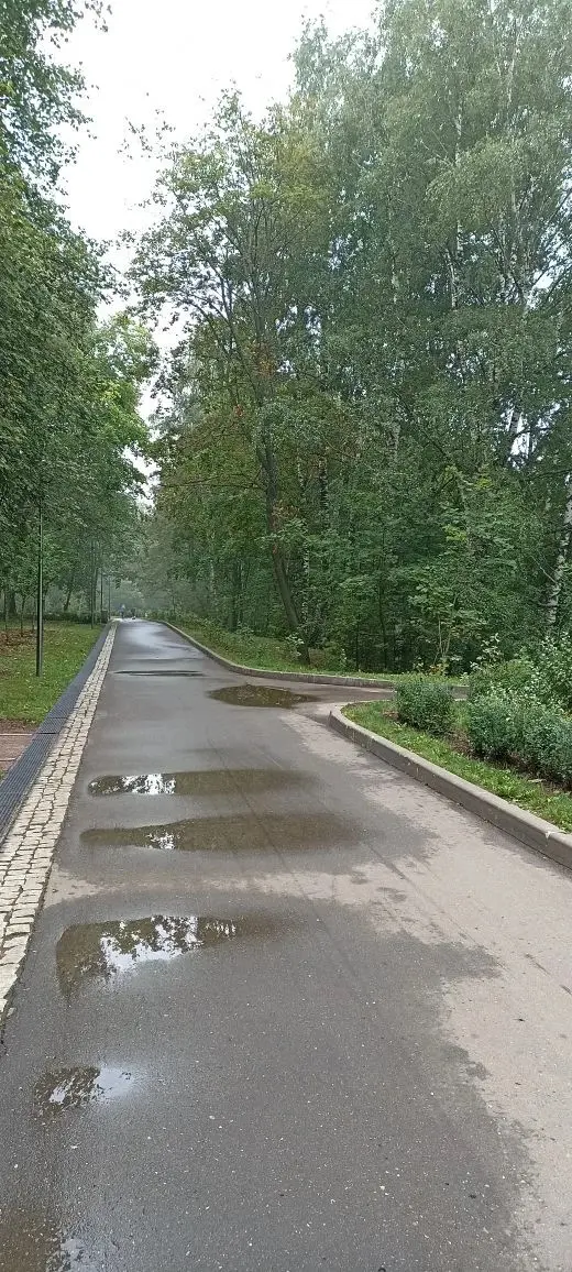 Фото: Алексей Гатилов