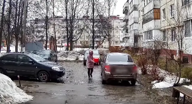 Скрин видео пресс-службы МВД по Марий Эл