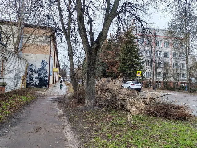 Фото Алексея Гатилова 