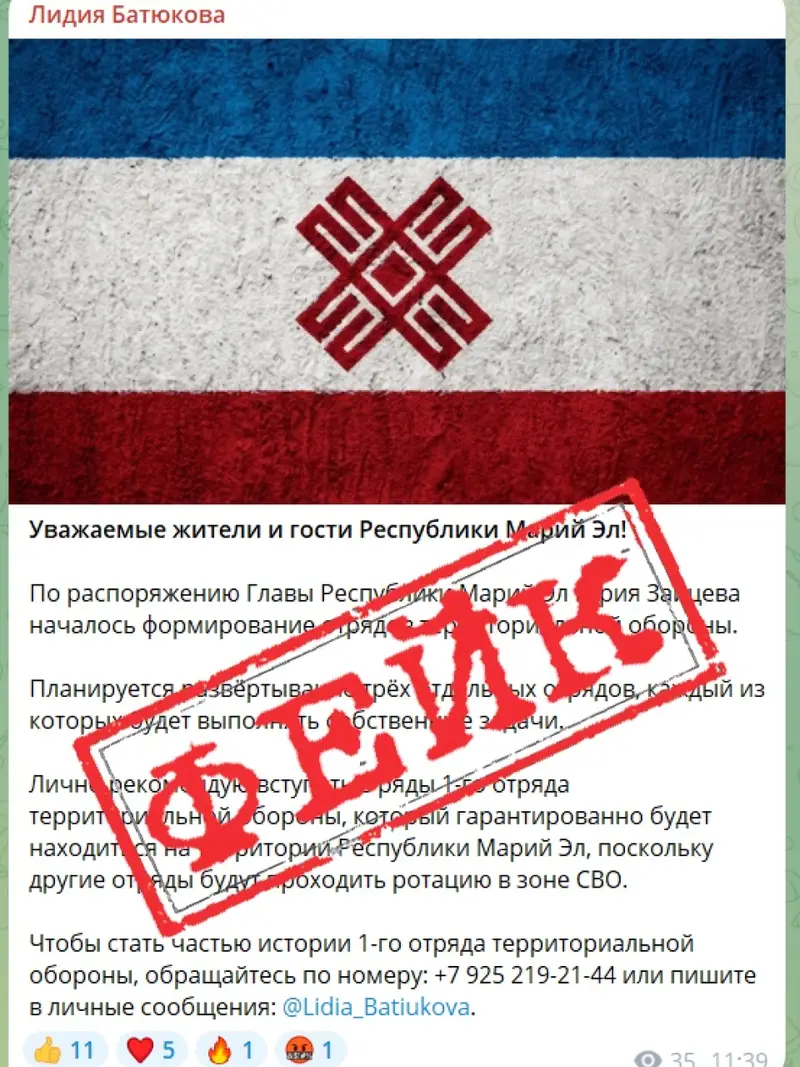 Неизвестные вновь выложили в Сеть фейк от имени Лидии Батюковой в Марий Эл