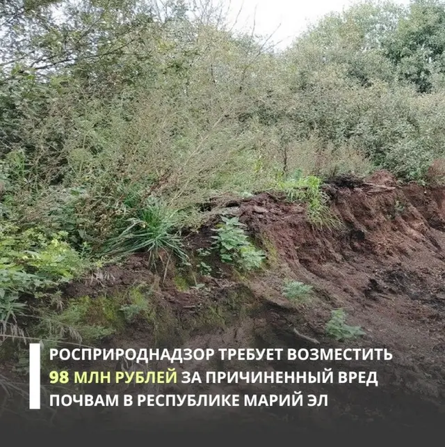 Фото пресс-службы Волжско-Камского межрегионального управления Росприроднадзора