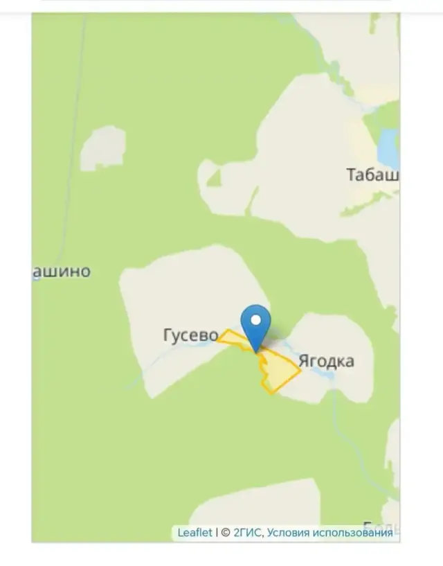 Скриншот кадастровой карты Оршанского района 