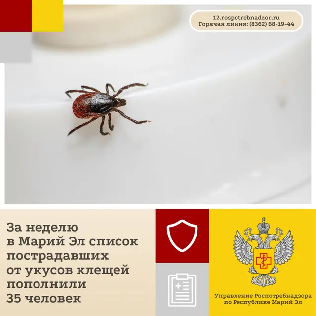 Коллаж из группы Роспотребнадзора по Республике Марий Эл в соцсети «ВКонтакте»
