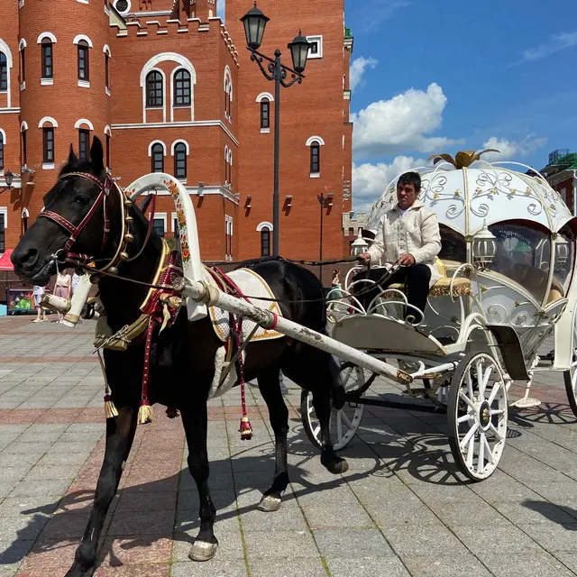 Фото из группы администрации Йошкар-Олы в соцсети «ВКонтакте»
