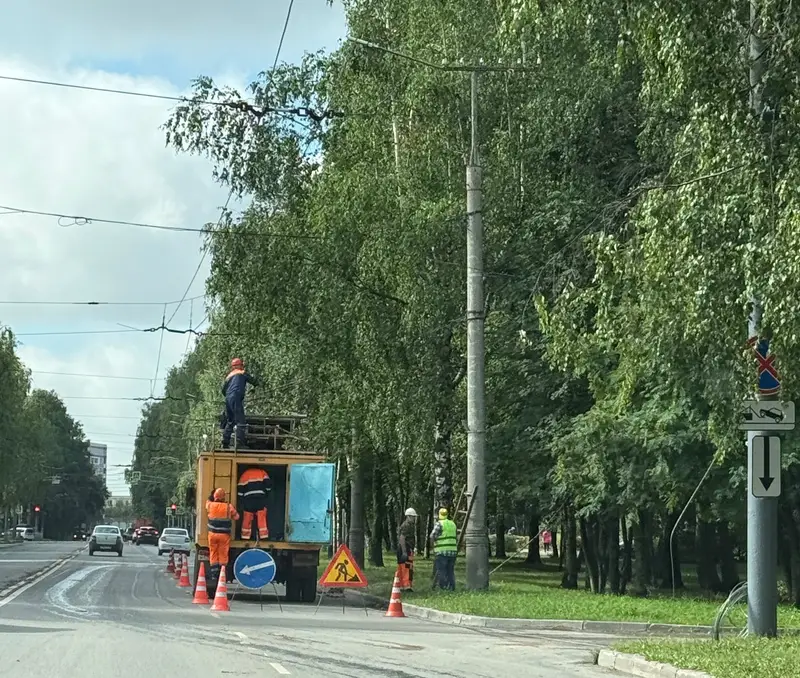Мобильные бригады убирают поваленные ураганом деревья в Йошкар-Оле