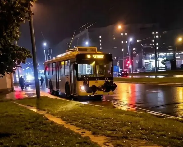 Фото пресс-службы УГИБДД по Республике Марий Эл