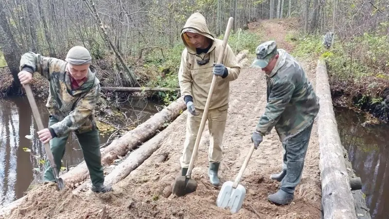 В природном заповеднике «Большая Кокшага» в Марий Эл восстановили проезды